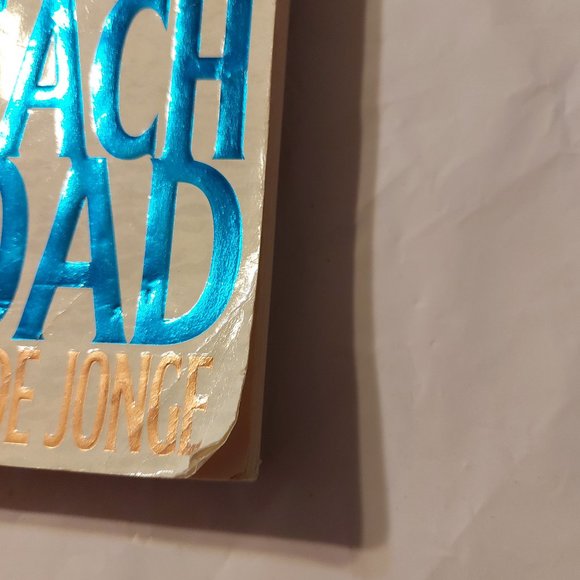 Beach Road - Picture 2 of 6